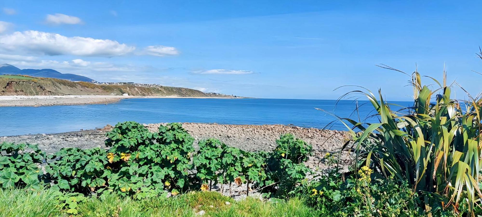 The Beach House Newry Exteriör bild